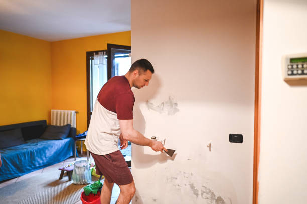 Best Same-Day Mold Removal  in Perth Amboy, NJ